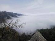 长江烨的个人资料头像