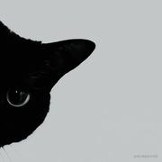 ihopeful的个人资料头像