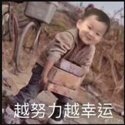 EliLi的个人资料头像