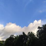 zzzzz666的个人资料头像