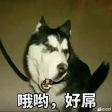 Irivers头像