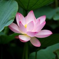 穿暖花开奔你而来头像