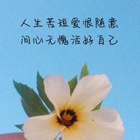 心凉凉CIm4头像