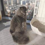 少文723头像