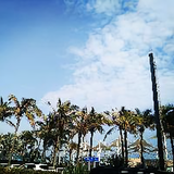 慢游山河头像