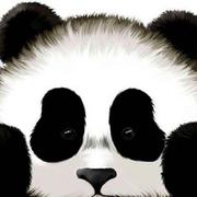 国宝爱学习38147的个人资料头像