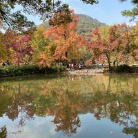 28477预约头像
