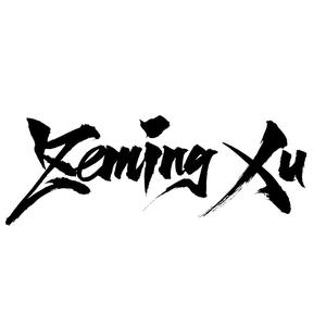 ZemingXu头像