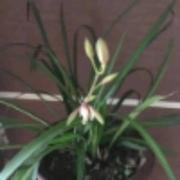 用户74512407398的个人资料头像