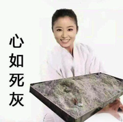 心如死灰的个人资料头像