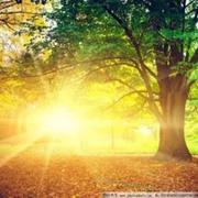 林家莹的个人资料头像