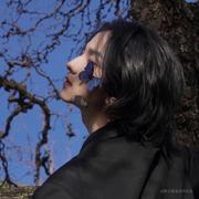 MTMW的个人资料头像