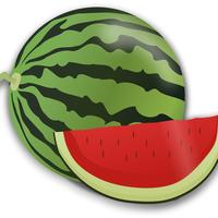 西西撩特斯拉头像