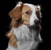 冯贝的个人资料头像