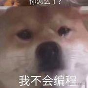 策走的个人资料头像