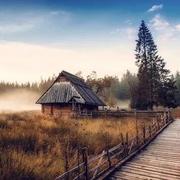 gdhf505的个人资料头像