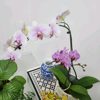 快乐带您游西安头像