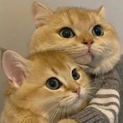 Q不要辣椒的个人资料头像