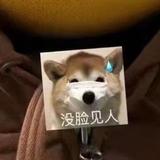 睿智的高冷喜鹊头像