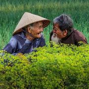 聪明的麻瓜的个人资料头像