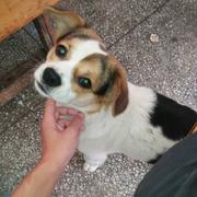 LuckyS的个人资料头像