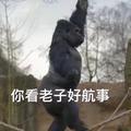 夹得绑紧11头像