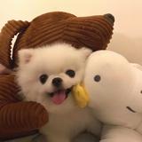 与李l头像