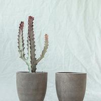 丰富蓝天7t4头像