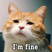 任毅的个人资料头像