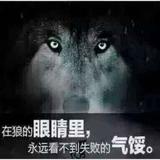杨延召285头像
