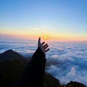 福运巢头像