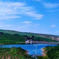 时髦书签殇头像