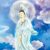 大家名车新车二手车头像