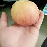 用户9325495593553头像