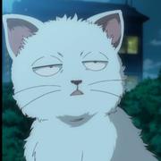 晤12138的个人资料头像