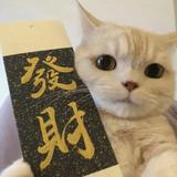 ᥬ山有木兮头像