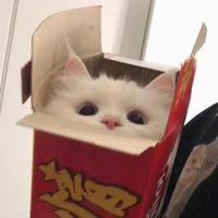 果果冻冻布丁丁头像