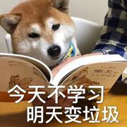 DebugMyself的个人资料头像