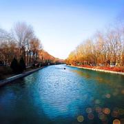 一只烤鸭朝北走的个人资料头像