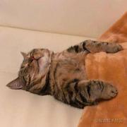 蟹黄堡秘方的个人资料头像