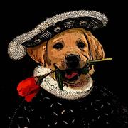 遛个弯儿的个人资料头像