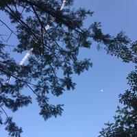活泼画板kFZ头像
