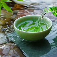 羊城后八景头像