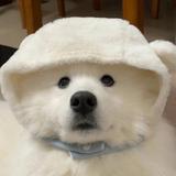 太幸运了493头像