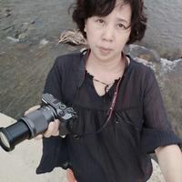 小燕子伴你行头像