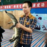 鱼乐评台头像