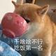 清风随你而在头像