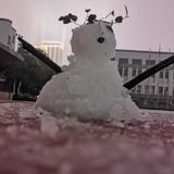 诗和远方2616头像
