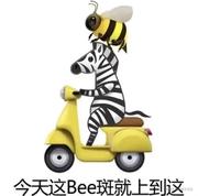 兴星的个人资料头像
