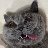 西米5076头像
